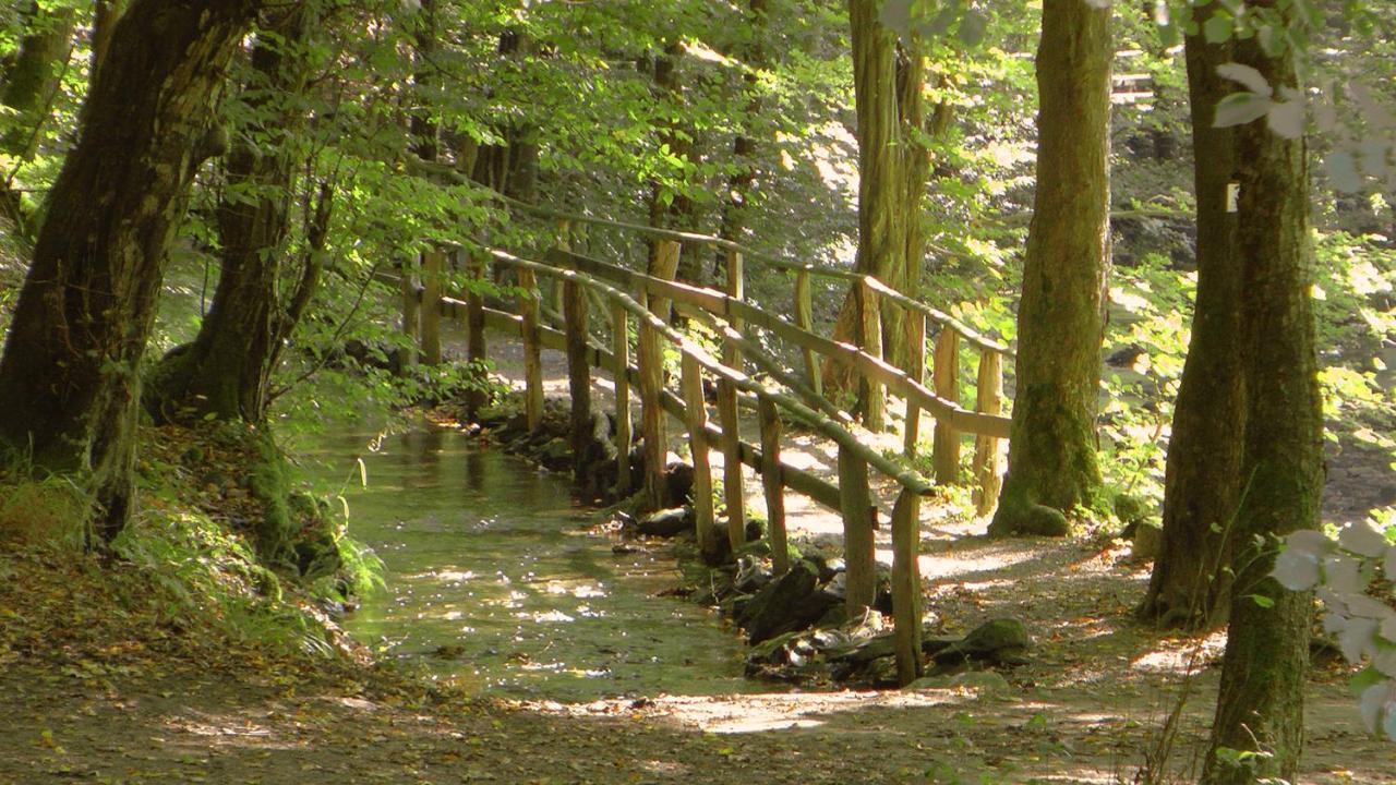 Landhotel Kallbach Hürtgenwald Eksteriør billede